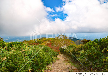 那須登山道に浮かぶ白い雲 那須登山道に浮かぶ白い雲 25286515