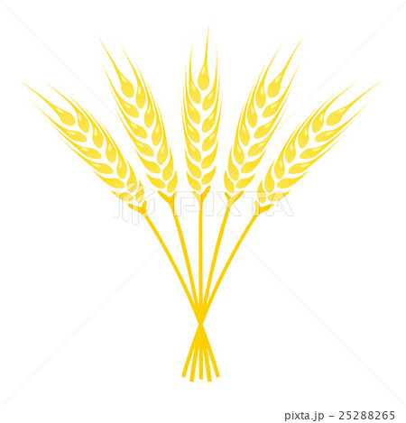 Ears of Wheat icon 25288265