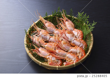 ぼたん海老 ぼたん海老 25288405