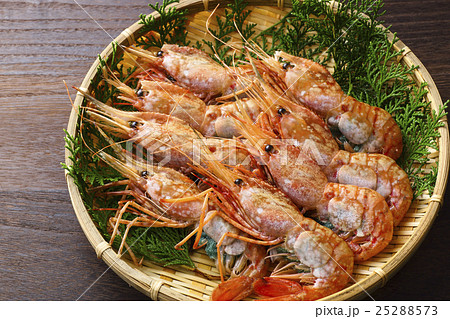 生のボタンエビ 25288573