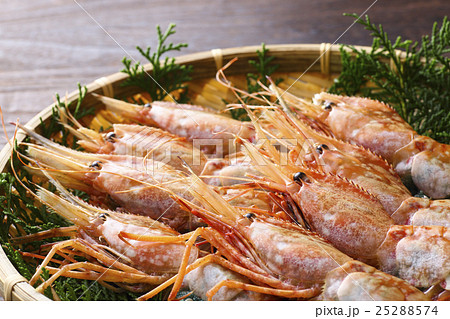 生のボタンエビ 生のボタンエビ 25288574