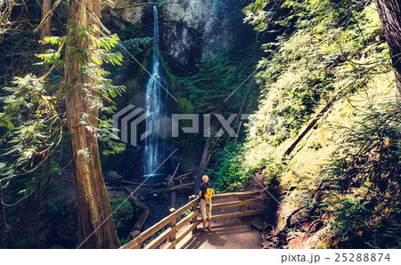Waterfall in Vancouver 25288874