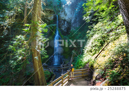 Waterfall in Vancouver Waterfall in Vancouver 25288875