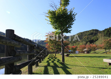 ダム湖のキャンプ場 25289041