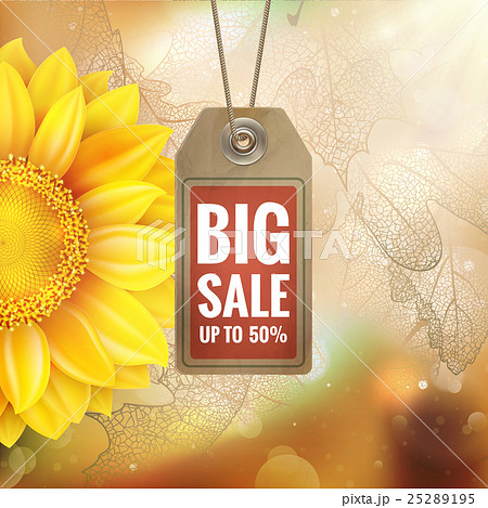 Sunflower on autumn foliage with sale tag. EPS 10 Sunflower on autumn foliage with sale tag. EPS 10 25289195