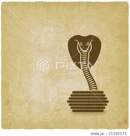 Cobra in basket old background 25290575