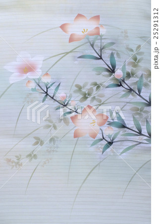 日本の紋様　絹織物　染め物　古布　絽　和柄　和風 25291312