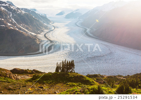Salmon glacier Salmon glacier 25291534