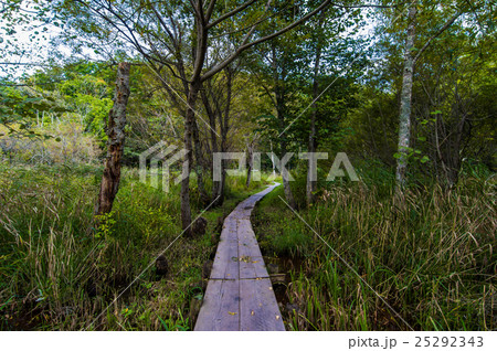 西岡水源池公園の初秋 西岡水源池公園の初秋 25292343