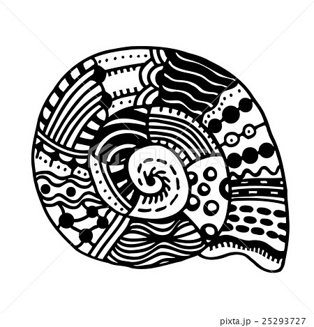 Hand Drawn seashell. 25293727