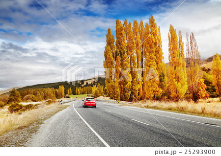 Autumn landscape, New Zealand 25293900
