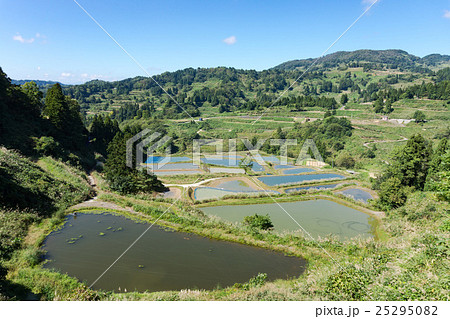 山古志の棚田 25295082