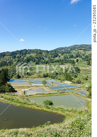 山古志の棚田 25295085