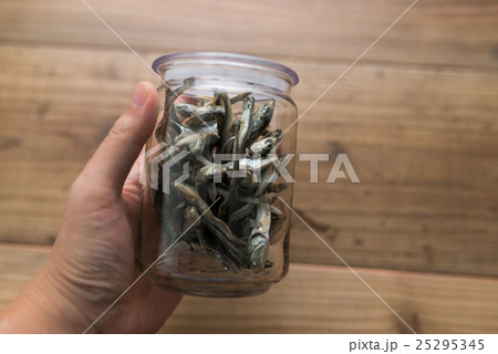 煮干し 煮干し 25295345