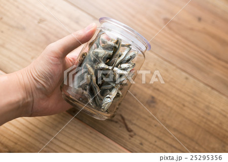 煮干し 煮干し 25295356
