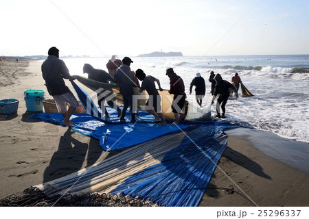 早朝の辻堂海岸地引網漁 早朝の辻堂海岸地引網漁 25296337