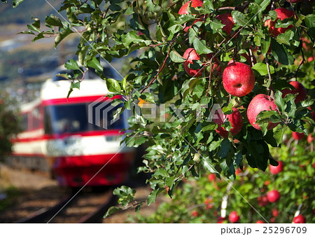 長野電鉄 ゆけむり 1000系 25296709