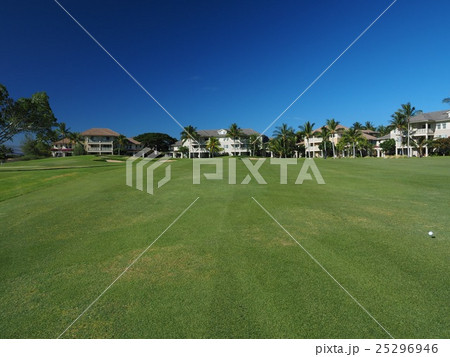 ゴルフ イン ハワイ 25296946