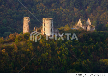 Chervonohorod Castle surrounded with autumn forest 25297555
