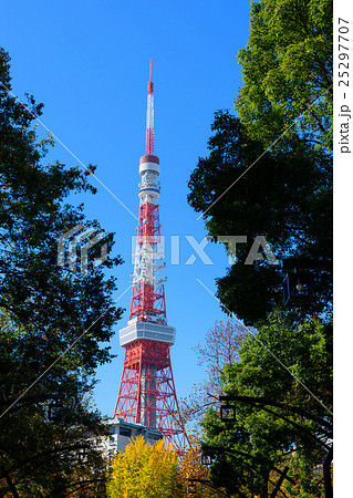 東京 秋の芝公園と東京タワー 東京 秋の芝公園と東京タワー 25297707