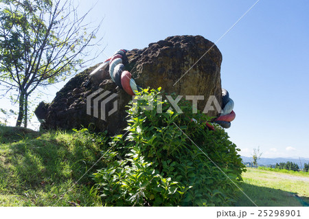 闘牛の石像 25298901