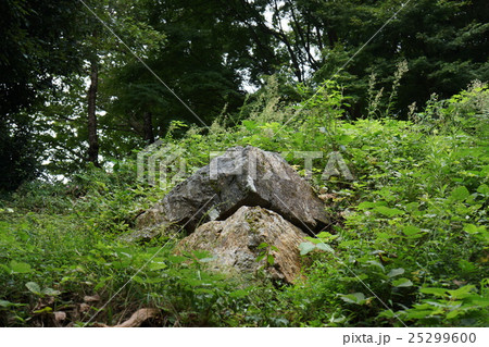 佐和山城天守石垣 佐和山城天守石垣 25299600