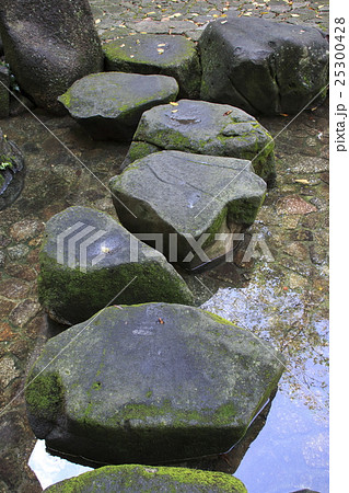 夏の音無親水公園にて 25300428