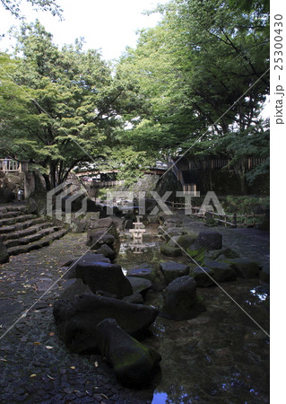 夏の音無親水公園にて 25300430