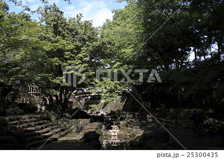 夏の音無親水公園にて 夏の音無親水公園にて 25300435