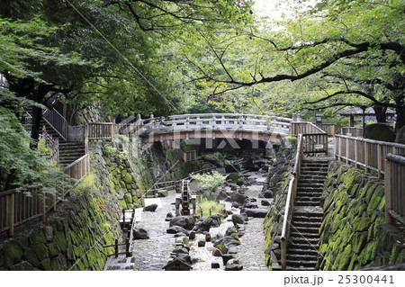 夏の音無親水公園にて 夏の音無親水公園にて 25300441