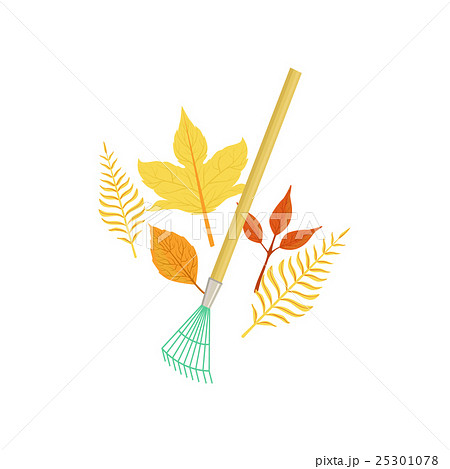 Rake And Fallen Leaves As Autumn Attribute Rake And Fallen Leaves As Autumn Attribute 25301078