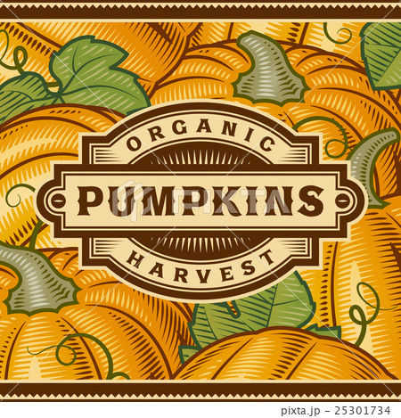 Retro Pumpkin Harvest Label 25301734