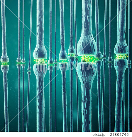 Synaptic transmission, human nervous system. 3d 25302746