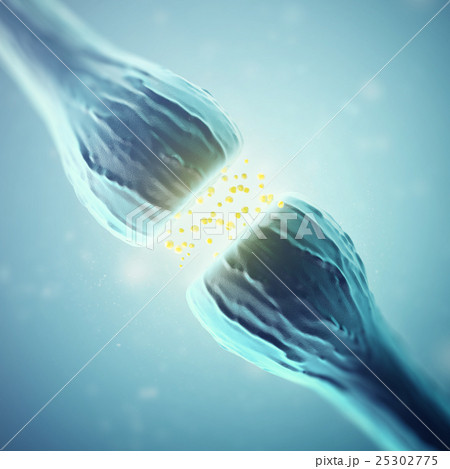 Synapse and Neuron cells sending electrical 25302775