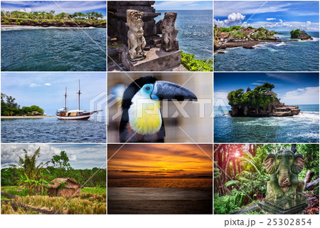 Collage of photos from Bali. Indonesia Collage of photos from Bali. Indonesia 25302854