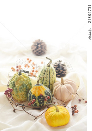 かぼちゃ 25304751