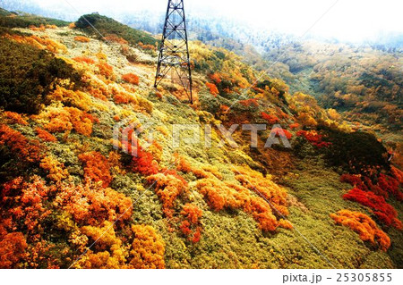 晩秋に煙る旭岳 25305855