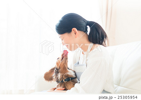 dog lover 25305954
