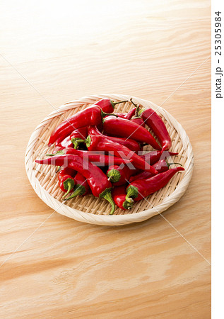 赤満願寺トウガラシ 25305984