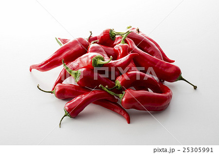赤満願寺トウガラシ 25305991