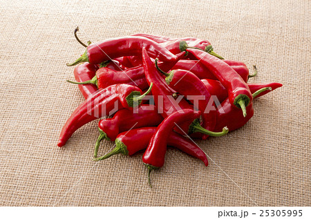 赤満願寺トウガラシ 赤満願寺トウガラシ 25305995