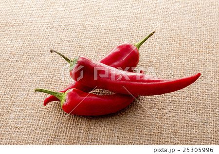 赤満願寺トウガラシ 25305996