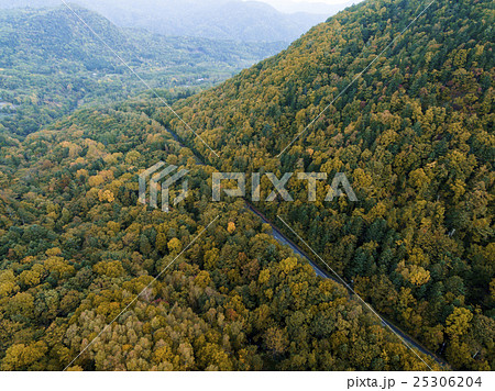 峠道(空撮) 峠道(空撮) 25306204