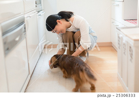 dog lover dog lover 25306333