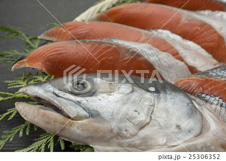 鮭の切身 25306352