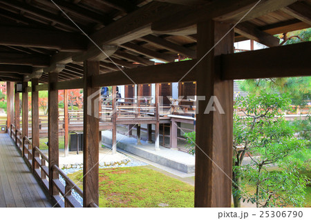 Daikaku-ji, kyoto 25306790