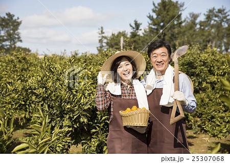 Middleaged Asian Farmer Couple Standing on Field Middleaged Asian Farmer Couple Standing on Field 25307068