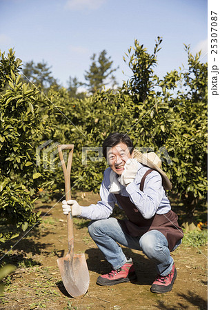 Middleaged Asian Farmer Wiping Sweat on Field 25307087