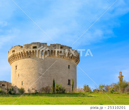 ruins of medieval old tower of castle under blue sky with cloud ruins of medieval old tower of castle under blue sky with cloud 25310201