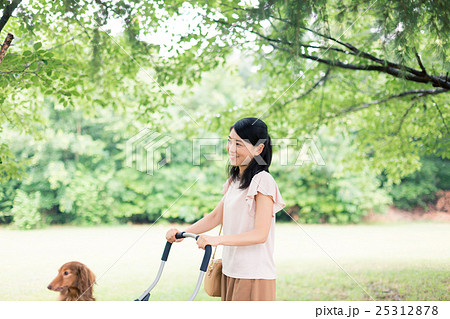 dog lover dog lover 25312878